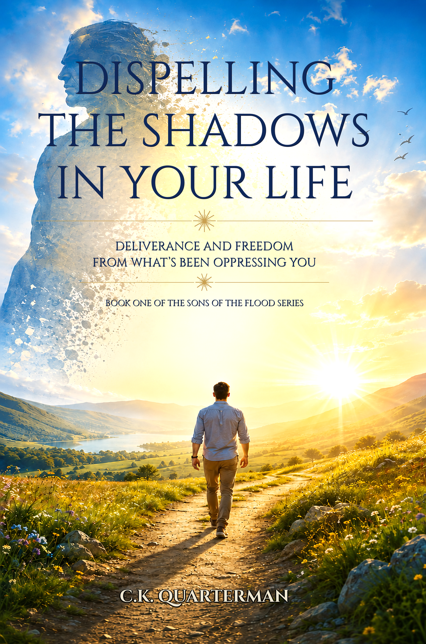 Cover of Dispelling the Shadows in Your Life